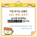 굿마루농장 | 후쿠오카 가족여행_25.02.11~02.15