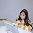 아쿠아필드 고양 이미지