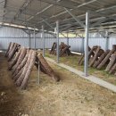 광의농장 이미지