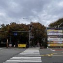 용산동 장산공원 옆 | 장산 옥녀봉 코스 후기 | 짧고 굵은 다이어트 코스 추천!