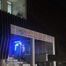 대숲사이 | 태화강 십리대숲 은하수길 가는길 주차장 야경 시간