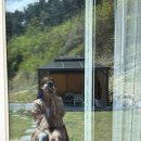 산들산채식당 | 체험판 (고인물의 연휴캠핑..🏡,둔내 뼈짬뽕,평창 산들산채식당,월정사,강릉 쉘리스,육영탕수육 후기)