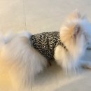몽그리데이 | 먹고 또 먹고