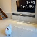 부안농협 부안지점하나로마트 | 전라남도 부안 바다뷰로 힐링할 수 있는 애견동반 해시락 풀빌라 (근처 대형마트 정보)