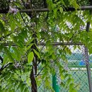 체육문화공원(축구장) 이미지