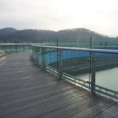 아라마루 이미지