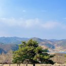 토담목장 | 춘천 여행 해피초원목장 포토존 4월 방문