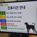 펫피아 동물병원 이미지