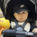 [롯데마트 문화센터] 24년 9-11월 가을학기 신기한 오감 점프베베 수강 기록🤍