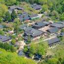 75 Daum카페