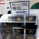 거북이배움터 이미지