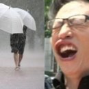 강풍 이미지