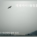 교훈글-개재아이(皆在我耳) 이미지