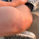 (명)스카이여행사 | 이카 와카치나 버기투어, 샌드보딩 액티비티 후기 (페루+볼리비아 2주 여행 ⑩)