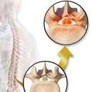 도약한의원 이미지