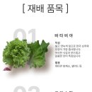 광채농장 이미지