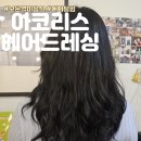 꼼꼼한 보문역미용실 후기 아코리스 헤어드레싱 디지털펌