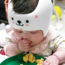 곤찌 이미지