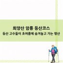 희양산 암릉 등산코스 등산 고수들이 초여름에 숨겨놓고 가는 명산