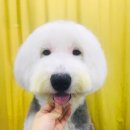 개릿뷰티 이미지