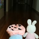 토끼와멍멍이 이미지
