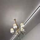 이정훈 강아지 하남본점 이미지