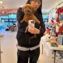 아띠라미 | 평택 애견카페 아띠라미 방문 (평택 애견카페)