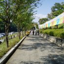 대전 뿌리공원에서 개최된 대전 효 문화 뿌리축제 참관기 1 이미지