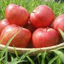 대길농장 이미지