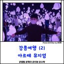 강릉 아르떼 뮤지엄, 미디어 아트의 새로운 세상을 보다. 5세,7세 아이랑 관람기.