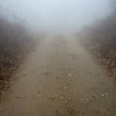 하얀물안개 이미지