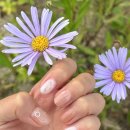 달봉네일 네이버블로그