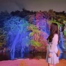 무성약국 | 서울 야경 명소 추천 홍제천 인공폭포 야간 데이트코스 가볼만한 곳