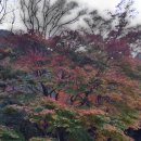 진해연세병원 - 3254 | 진해연세병원