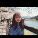 교동세천 이미지