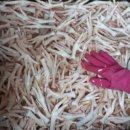 약초본가제분소 이미지