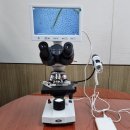 주식회사 미디어웍스 이미지