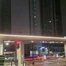 멍멍택시1 이미지