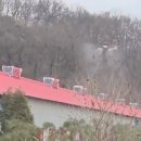 메추리농장 이미지