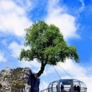 안락2동-2 이미지