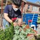 해경주택 이미지