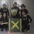 코리안플레이어