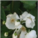 남부순환도로 이미지