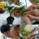 군포시립당정동어린이집 이미지