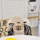 아더엘