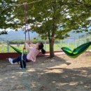 변산초등학교 이미지