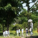 삼성골프장 이미지