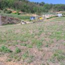 전원 부동산 중개인 사무소 이미지