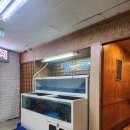 [여의도 회식] 가성비 좋은 일식 코스 청하에서 해산물 배터지게 먹었어요