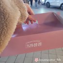 해치노래연습장 | 2022년 10월 5주차 | 청년다방, 마라공방, 카페수희, 고양이역, 본토칼국수, 뻘다방, 펫톡